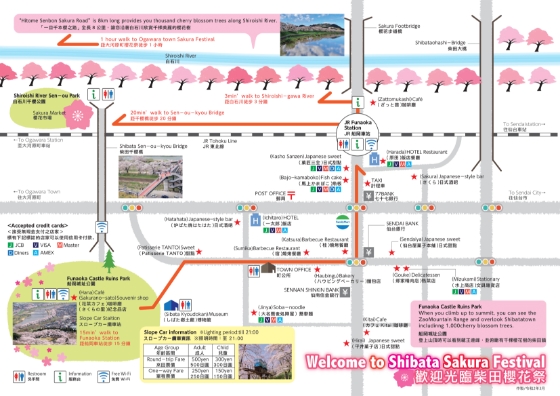 Welcome to Shitaba Sakura Festival
