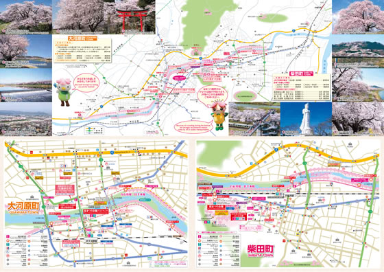 Shibata Ogawara Sakura Story 2019 (MAP)