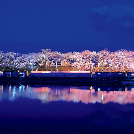 hashtag：一目千本桜